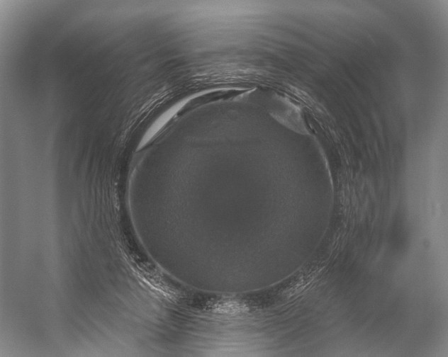 X0000056330258200509161717