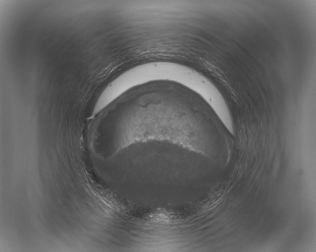 X0000056330259200509161717