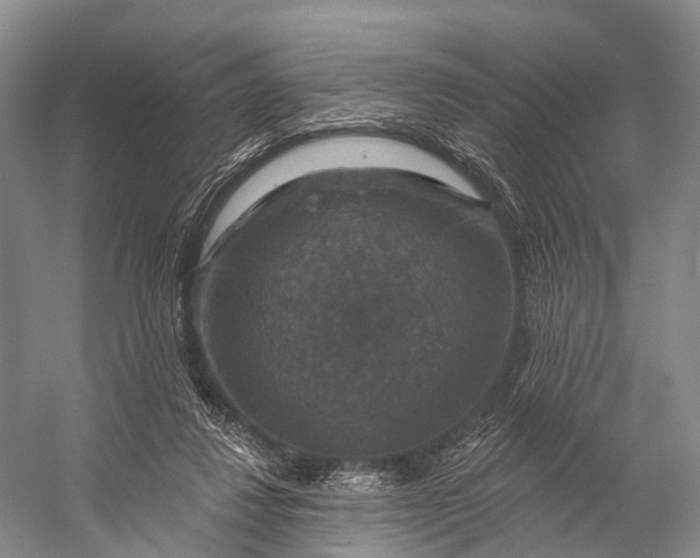 X0000056330260200509161717