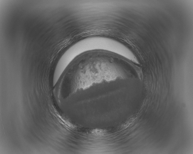 X0000056330261200509161717