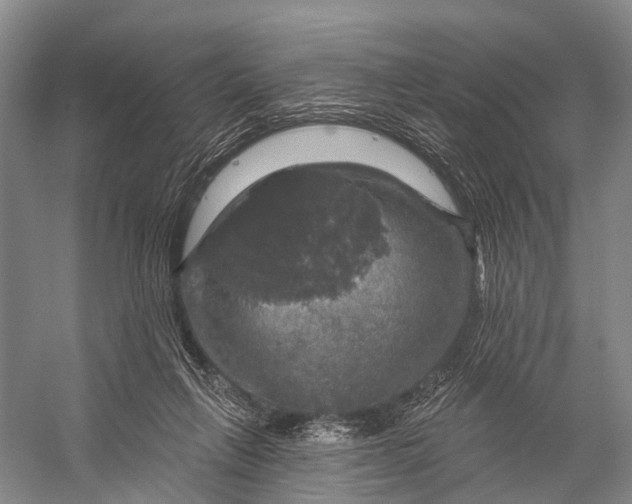 X0000056330263200509161717