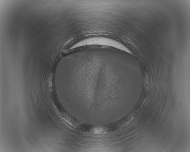 X0000056330264200509161717