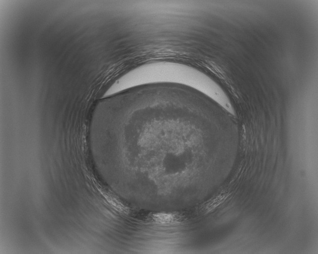 X0000056330265200509161717