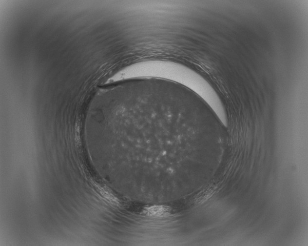 X0000056330269200509161717