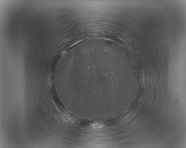 X0000056330272200509161717