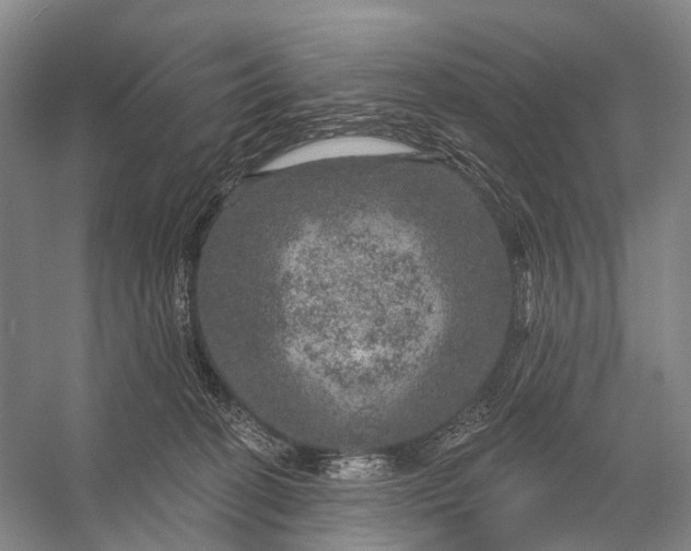 X0000056330274200509161717