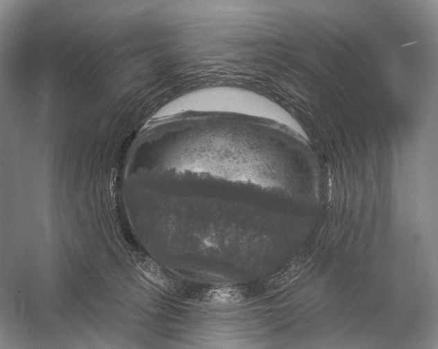 X0000056330275200509161717