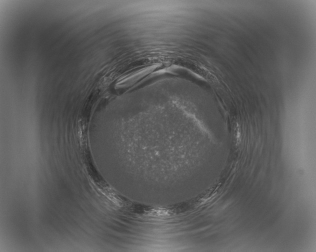 X0000056330276200509161717