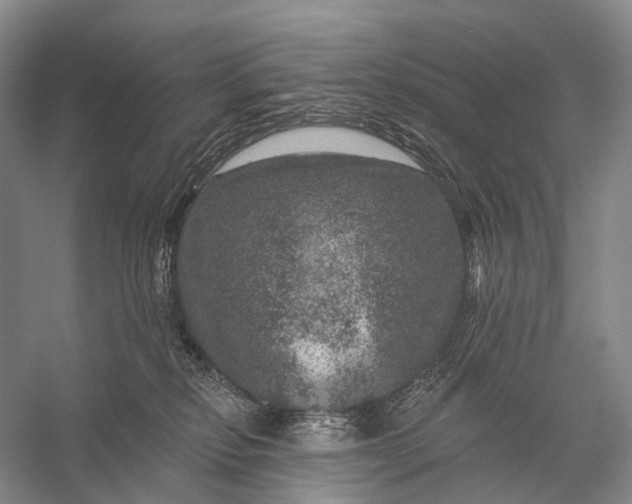 X0000056330278200509161717