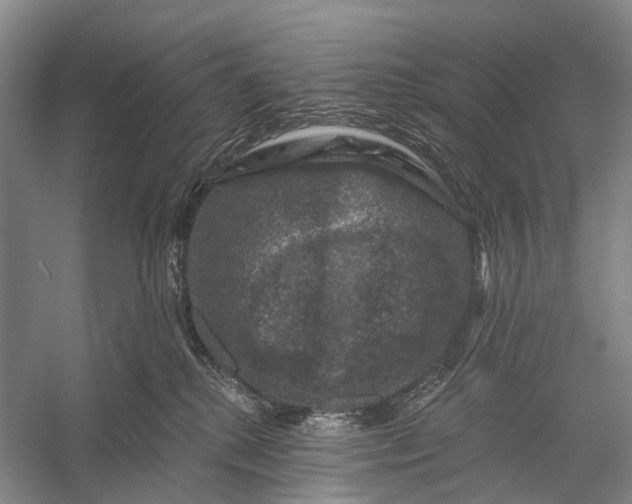 X0000056330280200509161717