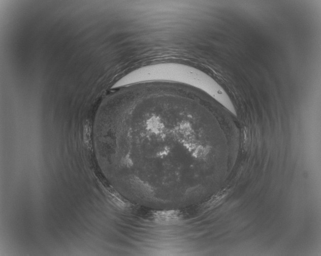 X0000056330281200509161717