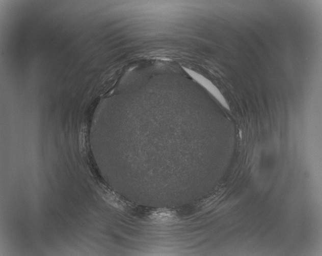 X0000056330283200509161717