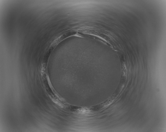 X0000056330284200509161717