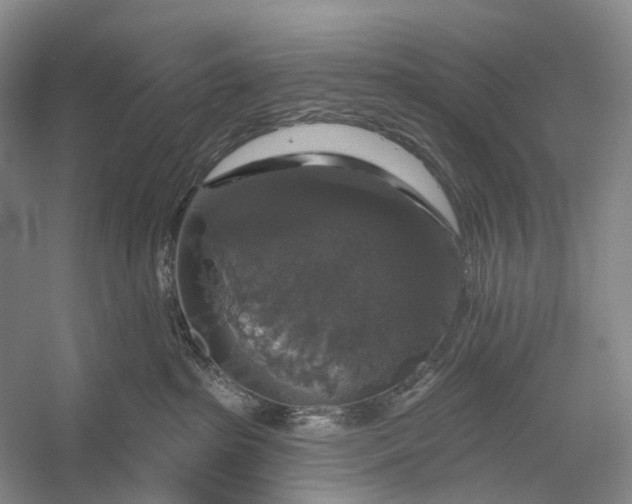 X0000056330285200509161717