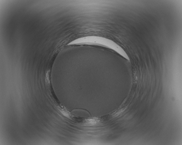 X0000056330286200509161717