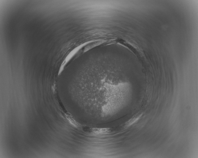 X0000056330288200509161717