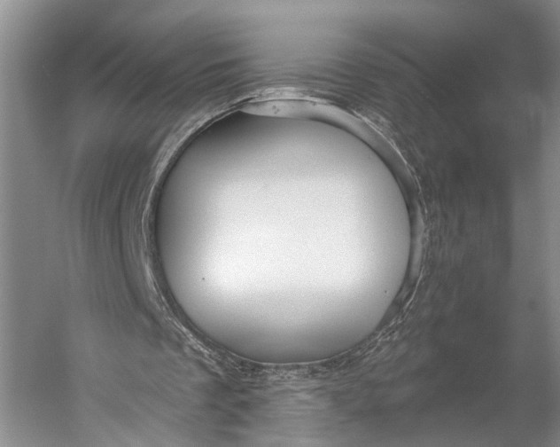 X0000056330289200509161717