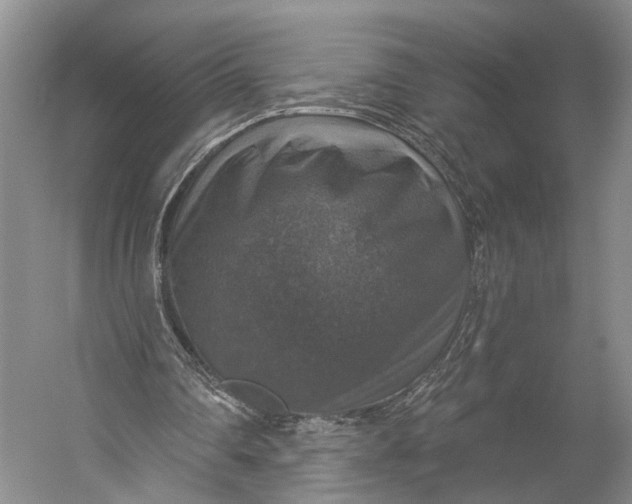 X0000056330290200509161717