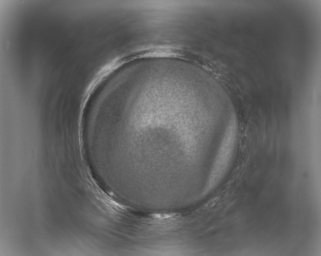 X0000056330296200509161716