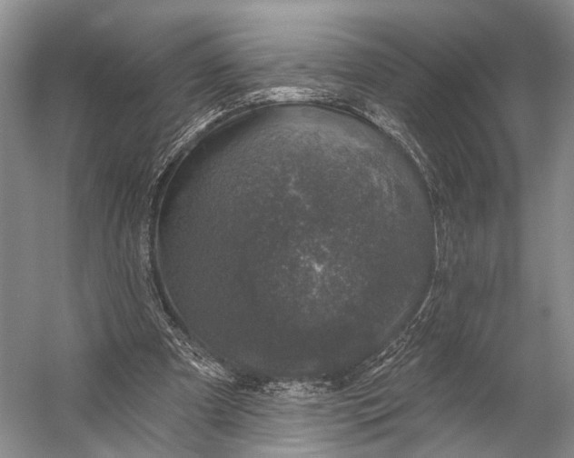 X0000056330297200509161716