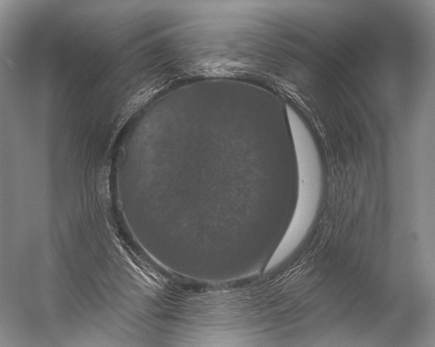 X0000056330299200509161716