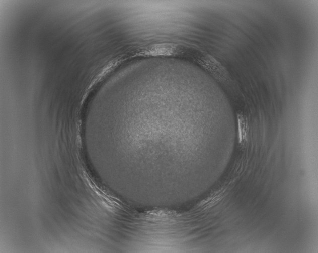 X0000056330300200509161716