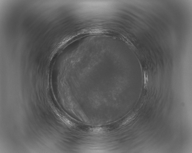 X0000056330301200509161716