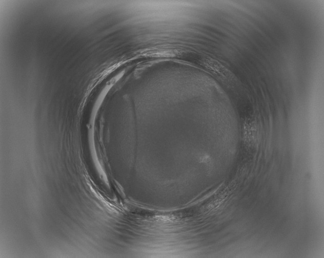 X0000056330302200509161716