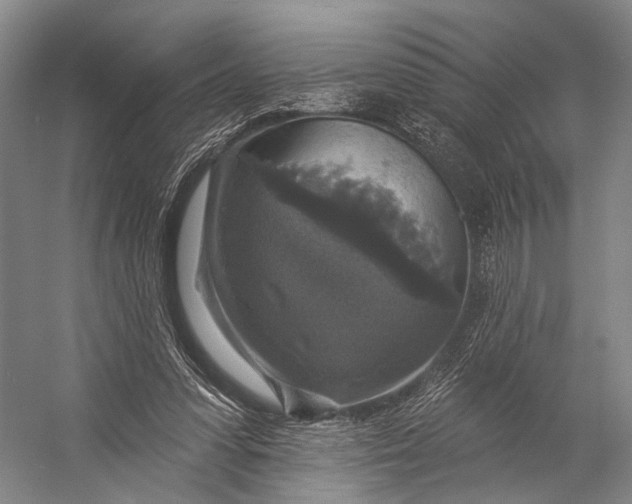 X0000056330303200509161716