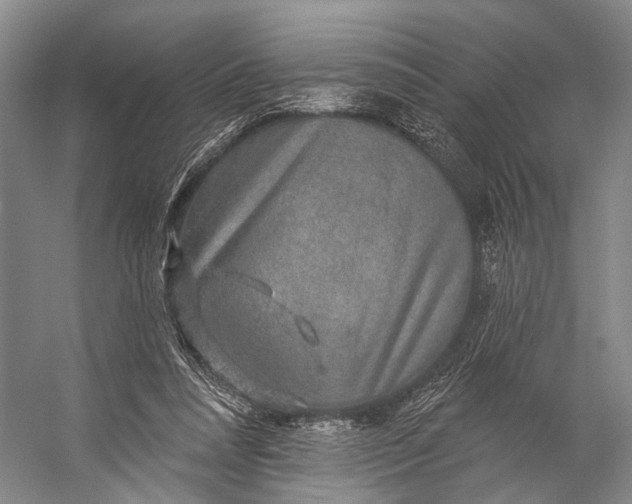 X0000056330304200509161716