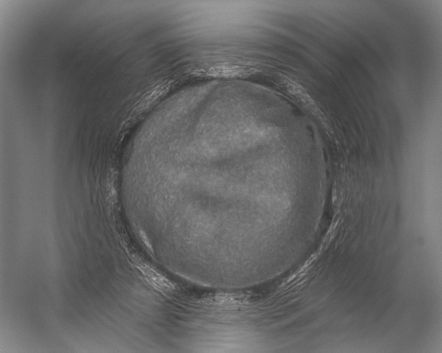 X0000056330305200509161716