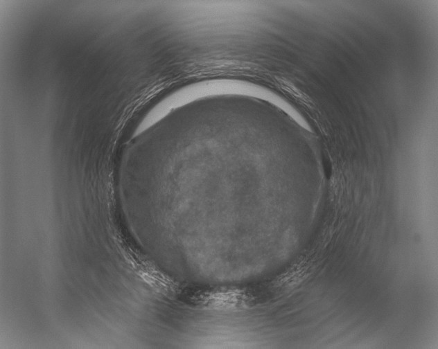 X0000056330306200509161716