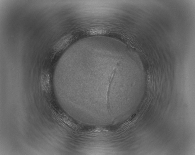 X0000056330308200509161716