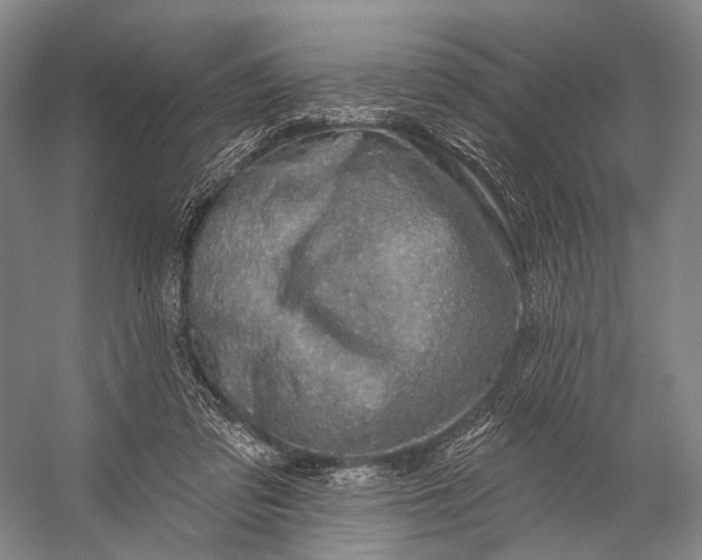 X0000056330309200509161716