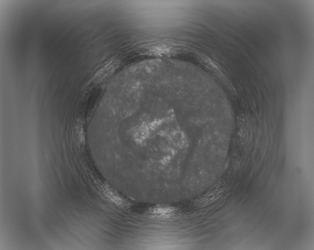 X0000056330313200509161716