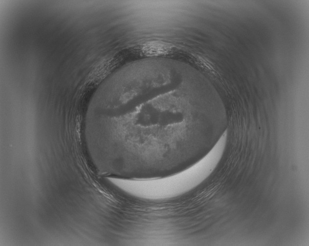 X0000056330315200509161716