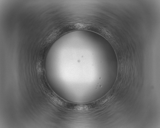 X0000056330317200509161716