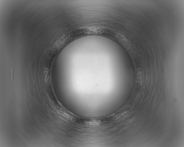 X0000056330318200509161716