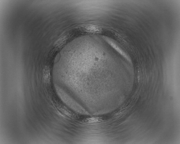 X0000056330320200509161716