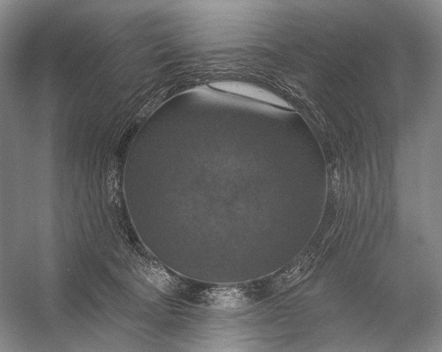 X0000056330322200509161716