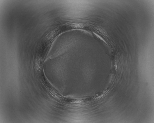 X0000056330325200509161716