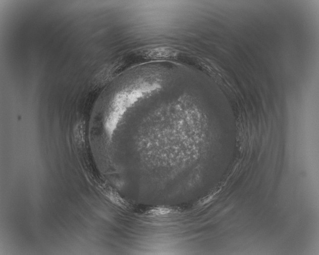 X0000056330326200509161716