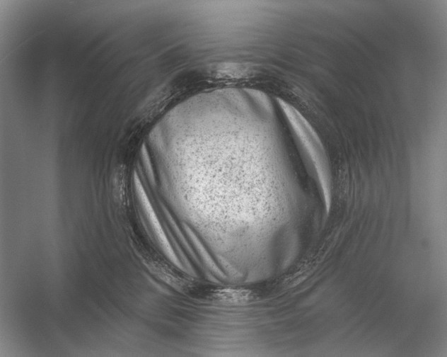 X0000056330328200509161716