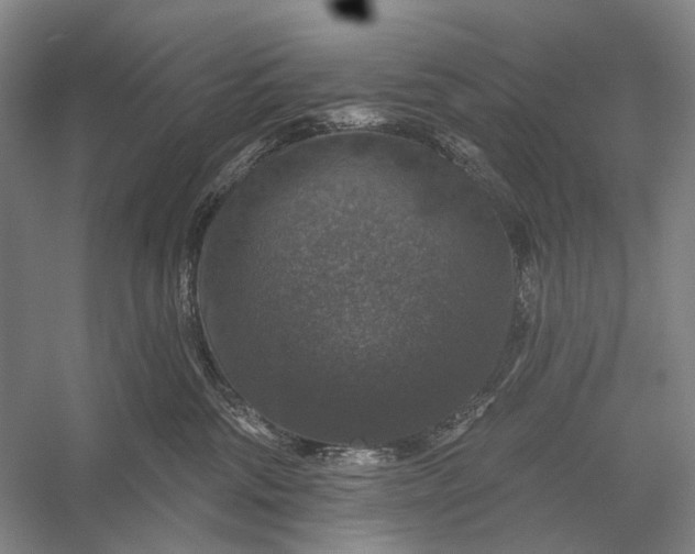 X0000056330330200509161716