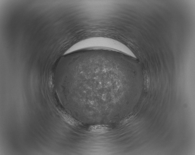 X0000056330331200509161716