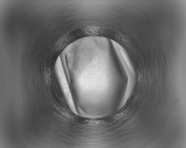 X0000056330332200509161716