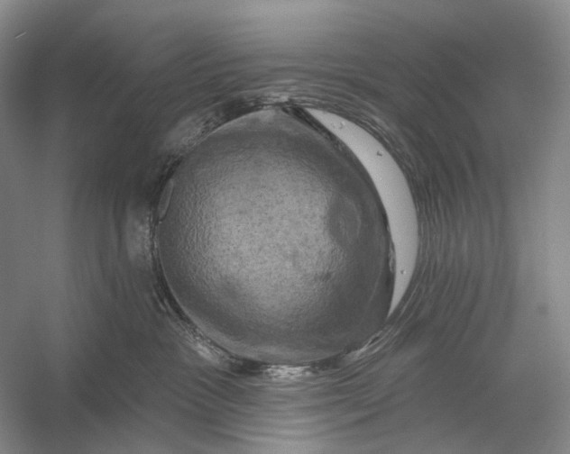 X0000056330333200509161716