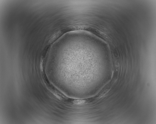 X0000056330334200509161716