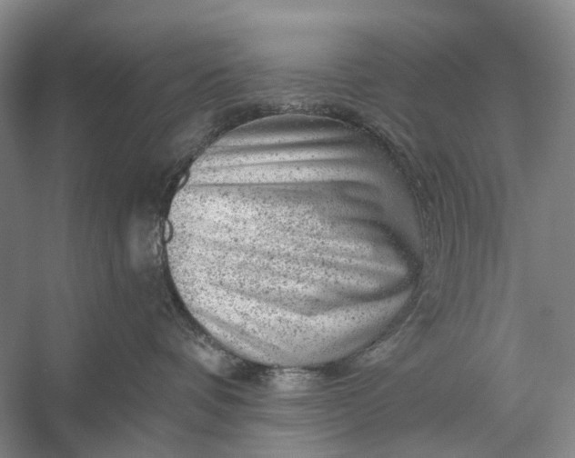 X0000056330336200509161716