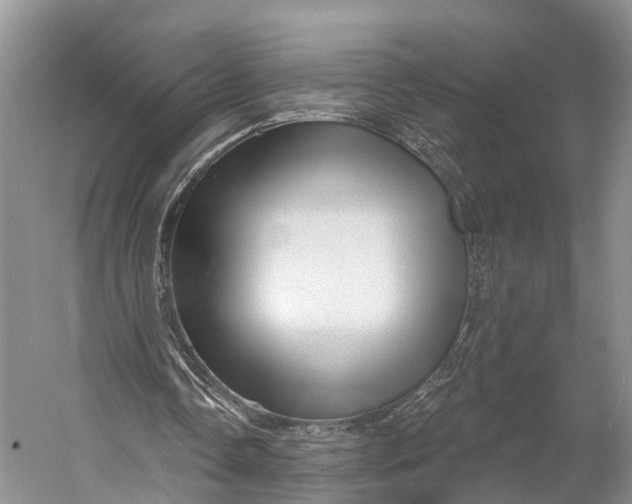 X0000056330338200509161715